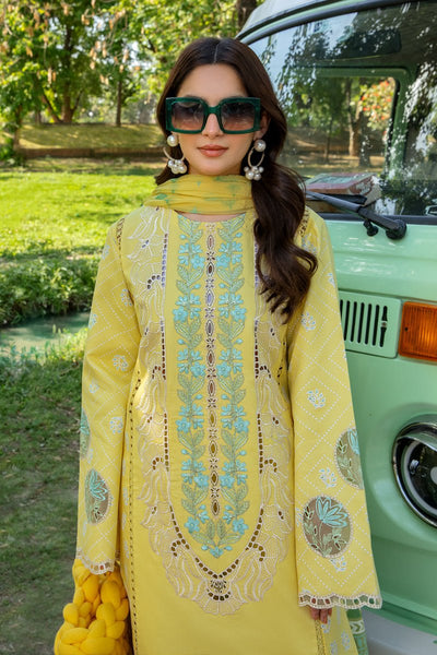Rang Rasiya 3 Piece Unstitched Embroidered Festive Lawn Suit - AYLA