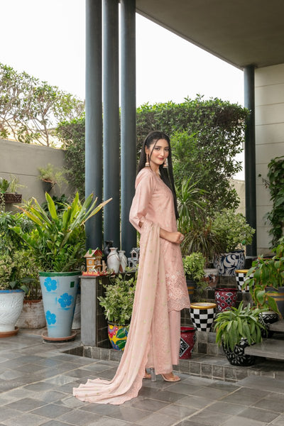 Tawakkal Fabrics 3 Piece Stitched jaal & Daman Embroidered Boti Broshia lawn Suit - D-1132