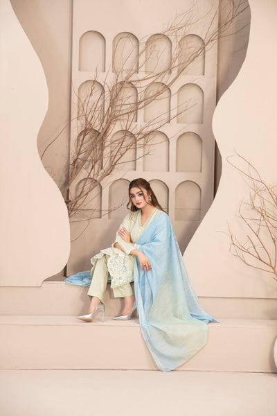 Tawakkal Fabrics 3 Piece Stitched Embroidered Broshia Banarsi Lawn Suit - D-2749
