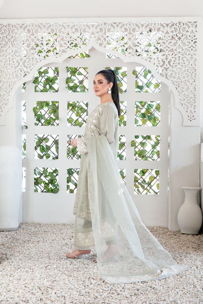 Tawakkal Fabrics 3 Piece Stitched Fancy Embroidered Organza Suit - D-3402