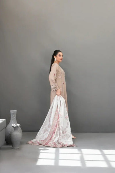 Tawakkal Fabrics 3 Piece Stitched Fancy Embroidered Slub Viscose Suit - D-3617