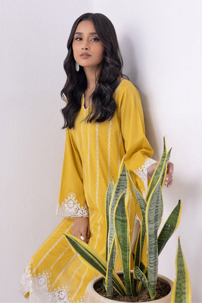 Lakhany 01 Piece Ready to Wear Dyed Embroidered Shirt - LG-SK-0064