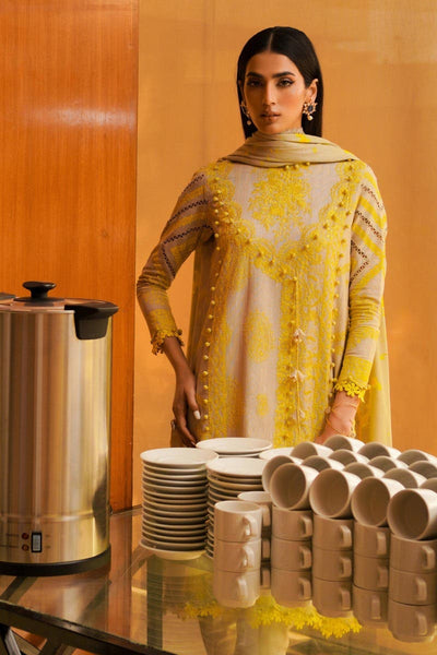 SANA SAFINAZ 3 Piece Unstitched Dyed Slub Shirt with Printed Pashmina Shawl - M233-016A-CP