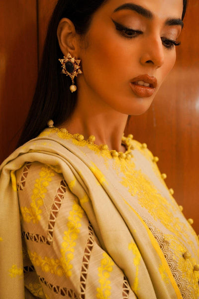 SANA SAFINAZ 3 Piece Unstitched Dyed Slub Shirt with Printed Pashmina Shawl - M233-016A-CP