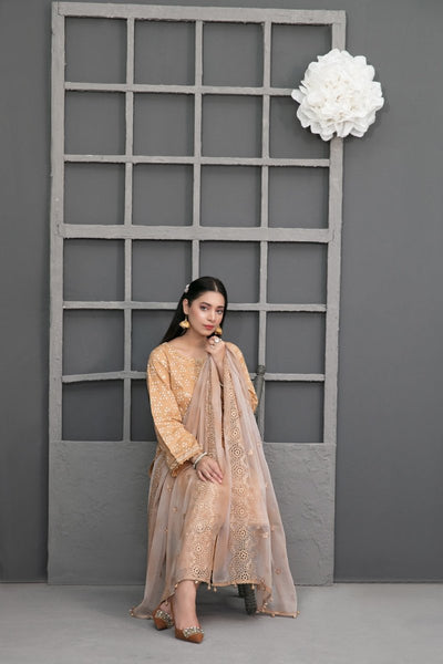 Tawakkal Fabrics 3 Piece Stitched Paste Printed Embroidered Lawn Suit D-6686