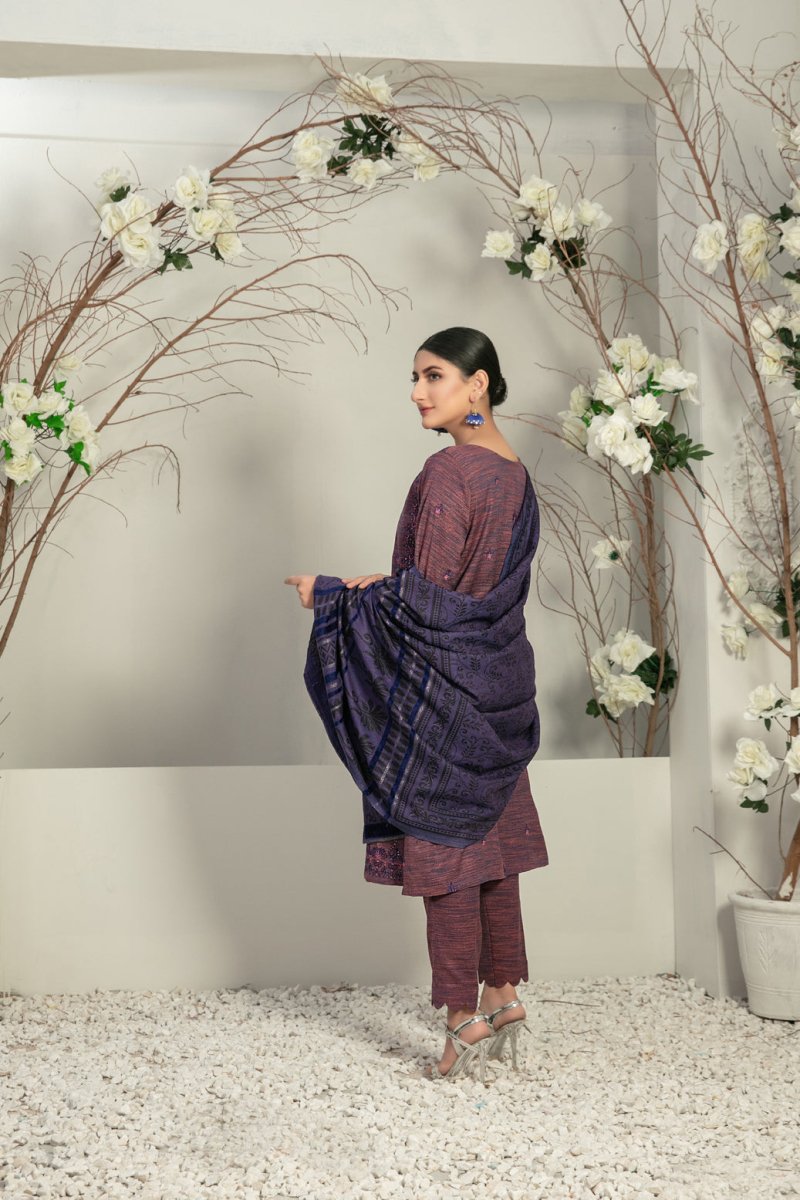 Tawakkal Fabrics 3 Piece Stitched Fancy Embroidered 2-tone Leather Suit D-7848