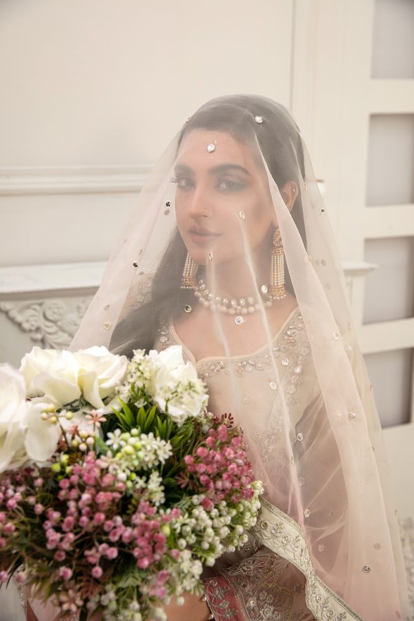 Tawakkal Fabrics 3 Piece Stitched Embroidered Fancy Chiffon Suit D-7993