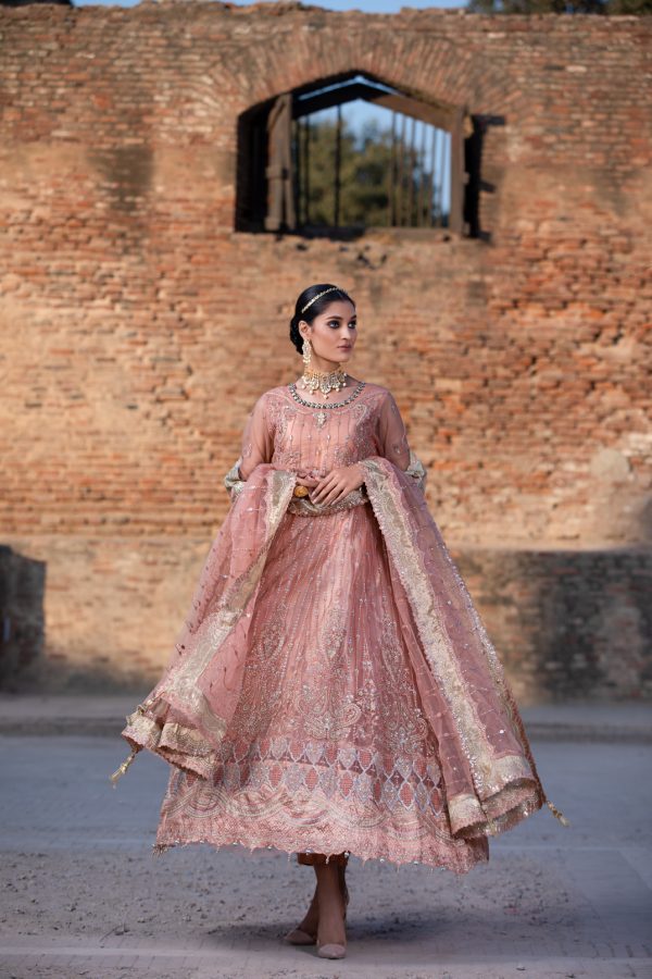 Tawakkal Fabrics 3 Piece Stitched Embroidered Fancy Net Suit D-8064 – GLIMMER TAN