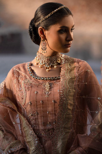 Tawakkal Fabrics 3 Piece Stitched Embroidered Fancy Net Suit D-8064 – GLIMMER TAN