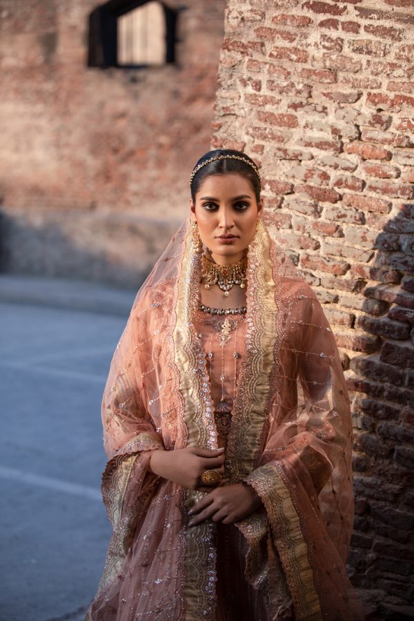 Tawakkal Fabrics 3 Piece Stitched Embroidered Fancy Net Suit D-8064 – GLIMMER TAN