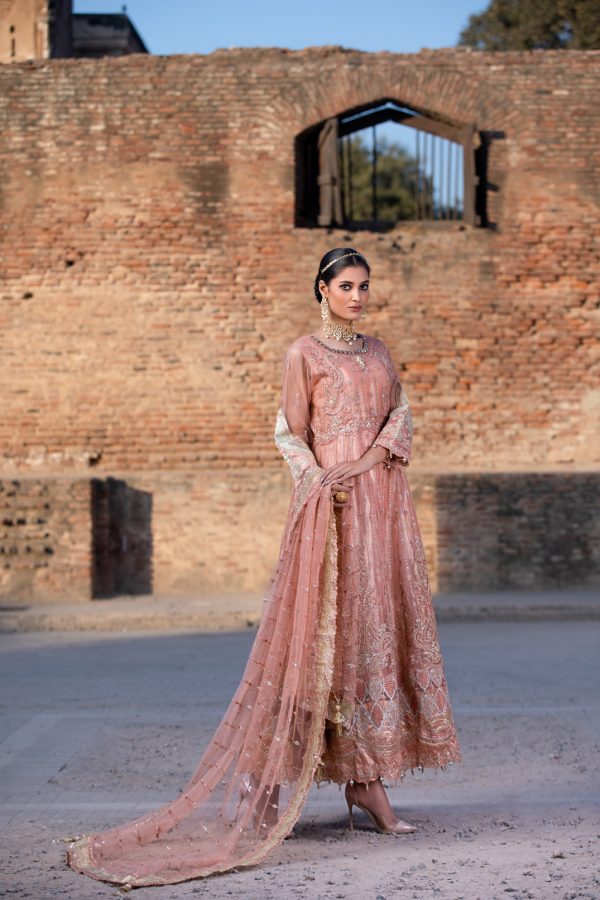 Tawakkal Fabrics 3 Piece Stitched Embroidered Fancy Net Suit D-8064 – GLIMMER TAN