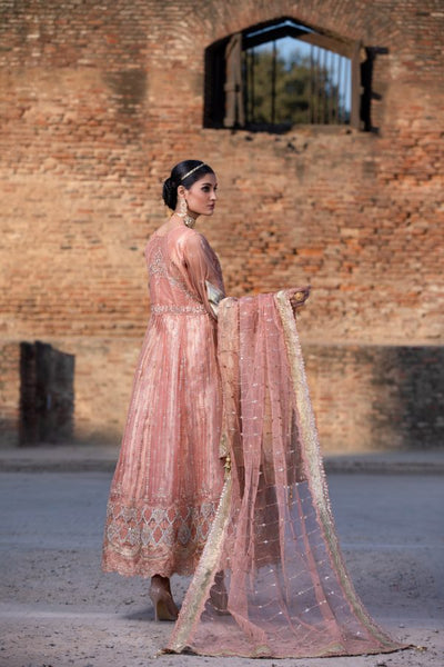 Tawakkal Fabrics 3 Piece Stitched Embroidered Fancy Net Suit D-8064 – GLIMMER TAN