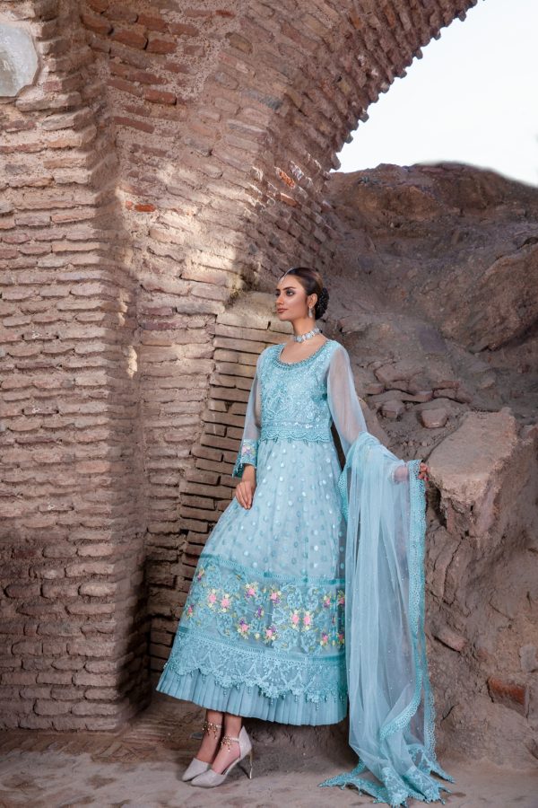 Tawakkal Fabrics 3 Piece Stitched Embroidered Fancy Net Suit D-8065 – INSIGNIA