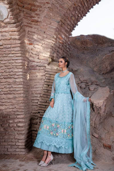 Tawakkal Fabrics 3 Piece Stitched Embroidered Fancy Net Suit D-8065 – INSIGNIA