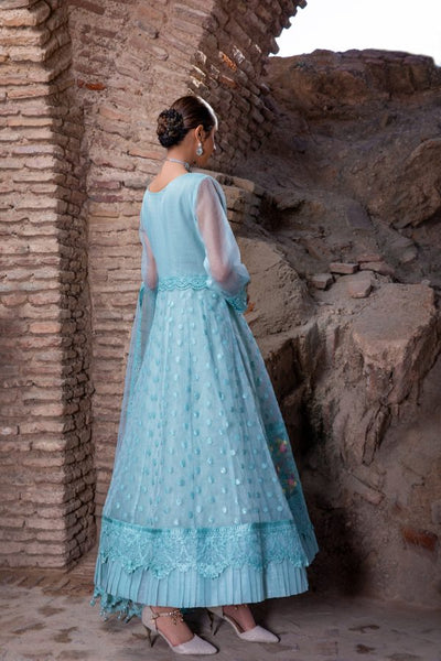 Tawakkal Fabrics 3 Piece Stitched Embroidered Fancy Net Suit D-8065 – INSIGNIA