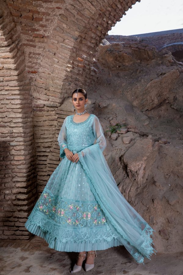 Tawakkal Fabrics 3 Piece Stitched Embroidered Fancy Net Suit D-8065 – INSIGNIA