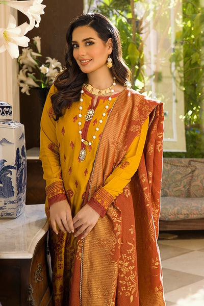 Rang Rasiya 3 Piece Stitched Embroidered Dobby Linen Suit D-01 REGAL