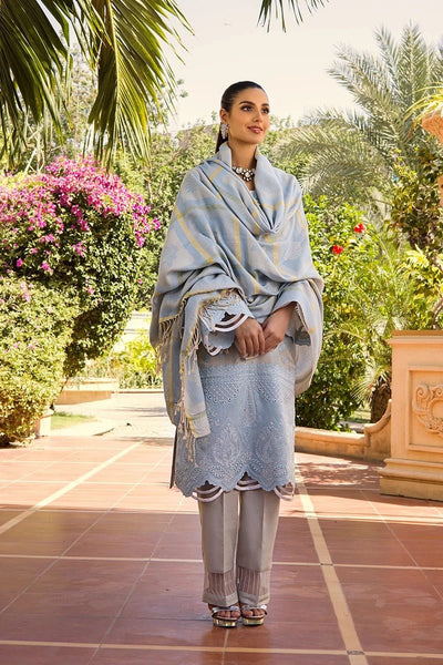 Rang Rasiya 3 Piece Stitched Embroidered Dobby Linen Suit D-05 RICHEL
