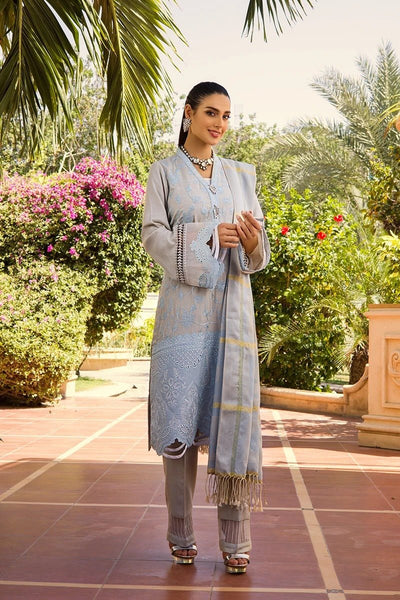 Rang Rasiya 3 Piece Stitched Embroidered Dobby Linen Suit D-05 RICHEL