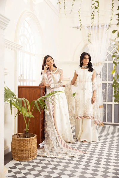 XENIA FORMALS 3 Piece Unstitched Embroidered Chiffon Suit - D-09 SOLARIS
